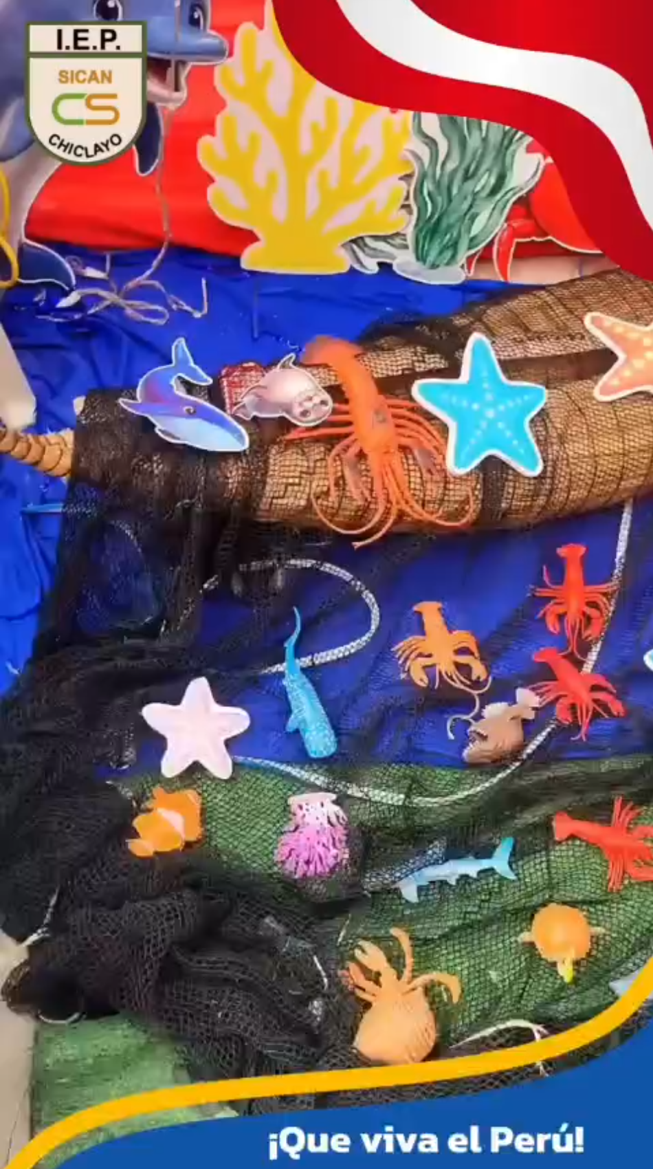 Video 46