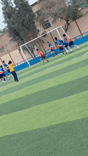 Video 6